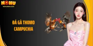 Đá Gà Thomo Campuchia Những Cơ Hội Lớn Cho Người Tham Gia