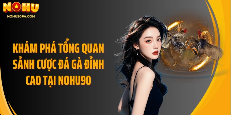 Khám phá tổng quan sảnh cược đá gà đỉnh cao tại Nohu90