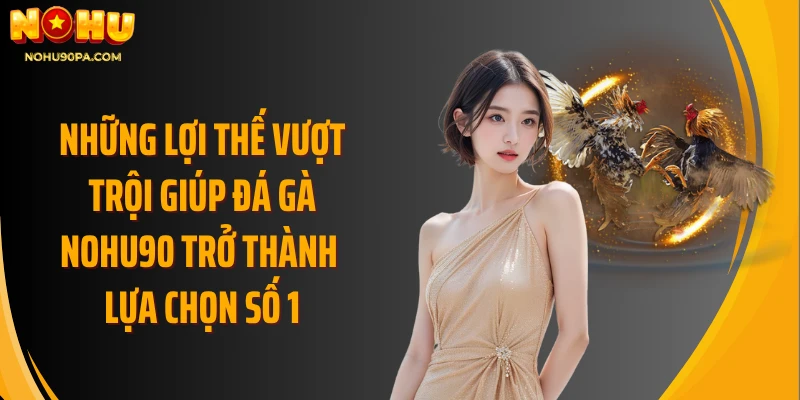 Những lợi thế vượt trội giúp đá gà Nohu90 trở thành lựa chọn số 1