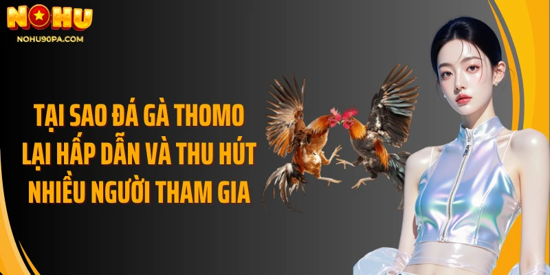 Tại sao đá gà Thomo lại hấp dẫn và thu hút nhiều người tham gia